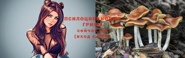 амф Алексин
