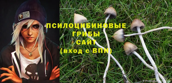 амф Алексин