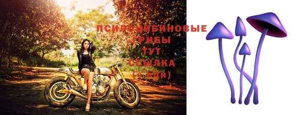 амф Алексин