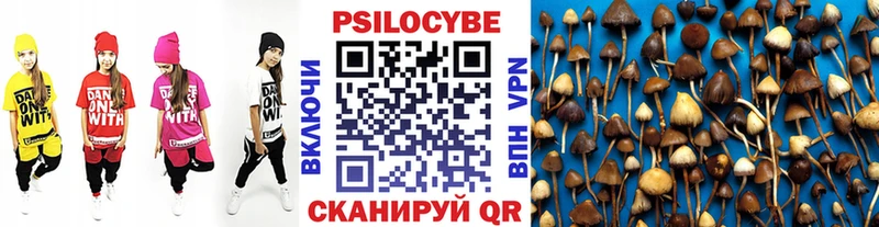 Псилоцибиновые грибы Psilocybe  дарнет шоп  MEGA как зайти  Петропавловск-Камчатский 
